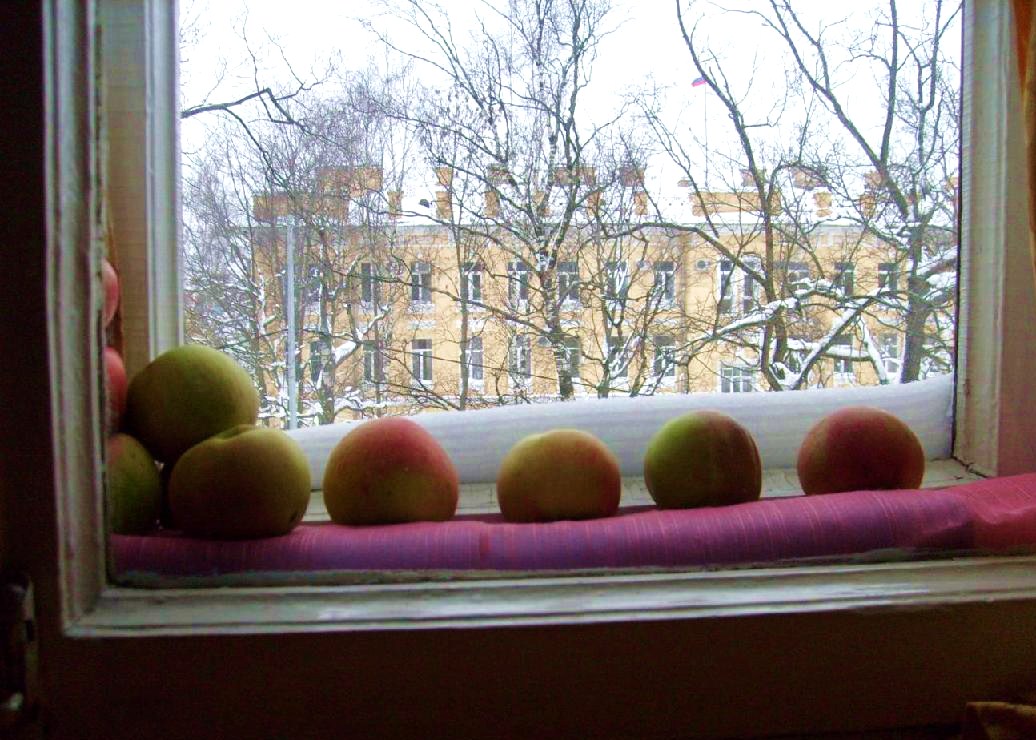 27 декабря 2010 года. За окном зима, а между рамами – яблоки из нашего сада.
Фото автора