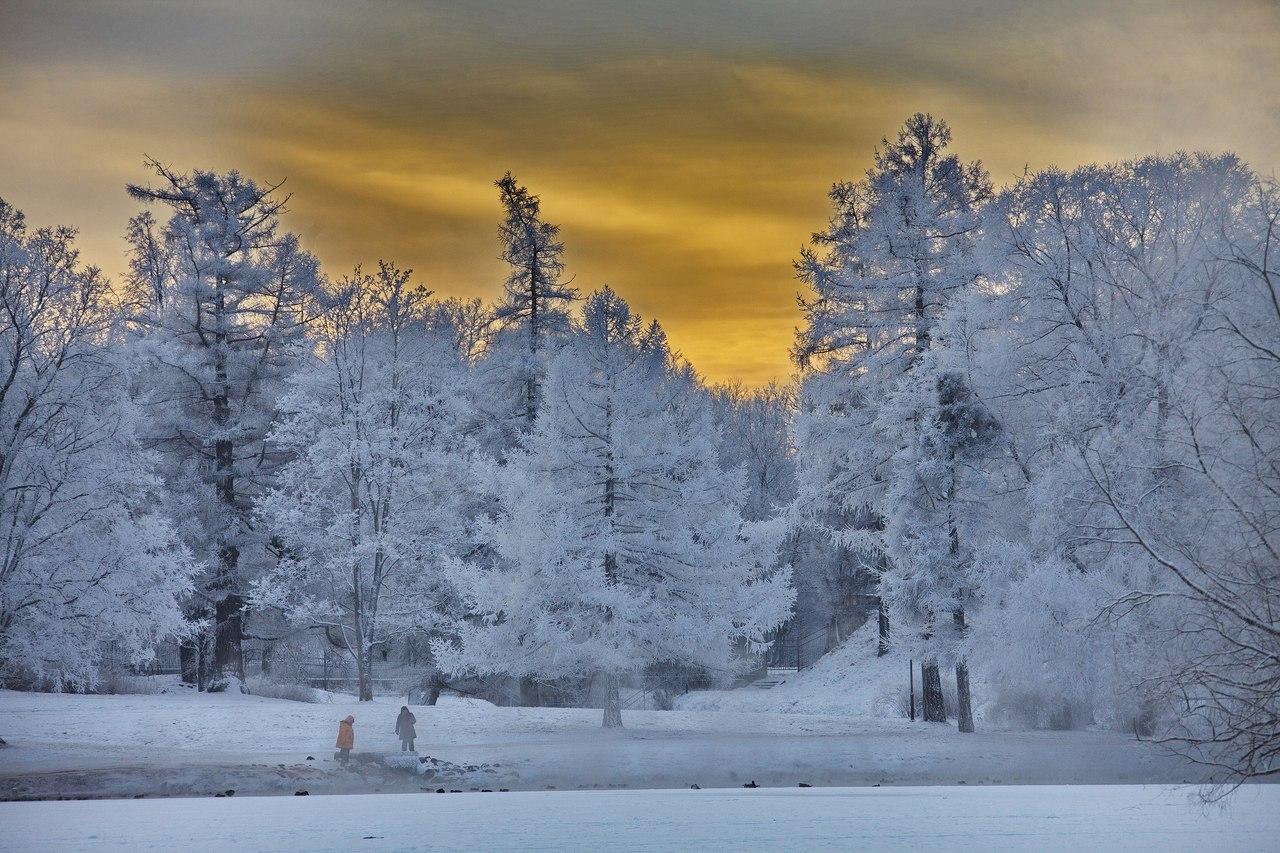 Гатчинский парк. Зима. Фото Валерия Воробьёва